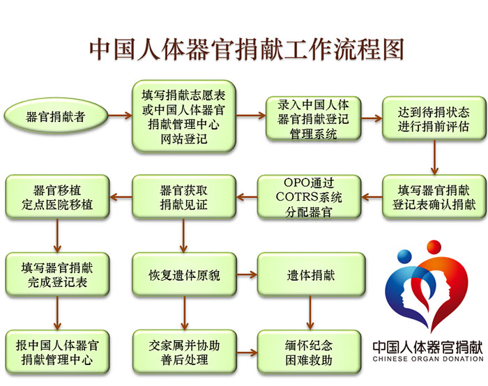 器官捐獻基本知識